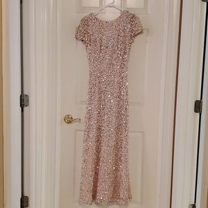 Adrianna Papell long dress. Size 2. Rose color.